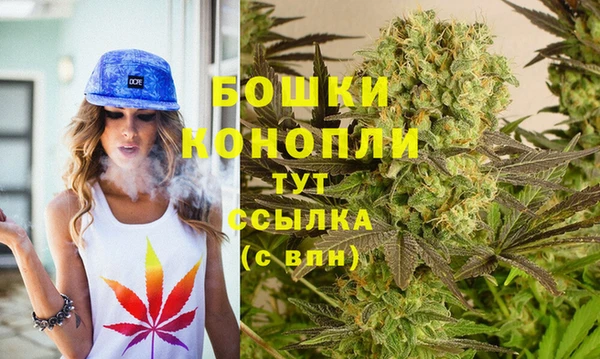 шишки Волоколамск