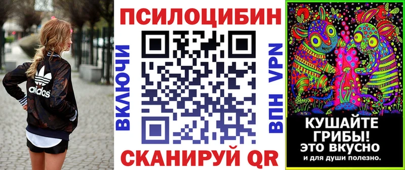 Галлюциногенные грибы прущие грибы  купить  цена  Котельниково 